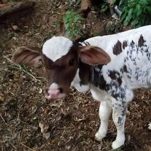 Meet your Posher, Noemi